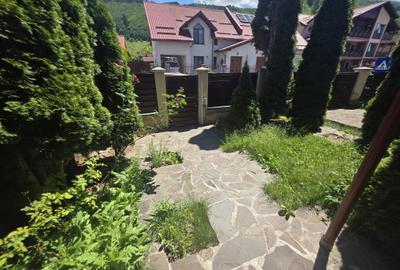 Inchiriez casa Bunloc Sacele-Timisul de Jos cuacces auto pet friendly - 1