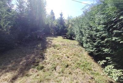 Casa de vacanta (Gheorgheni, zona km 4) - 20