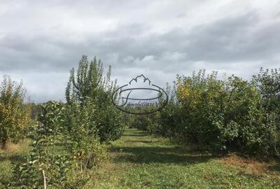 Casă individuală cu 3 camere în Voinești