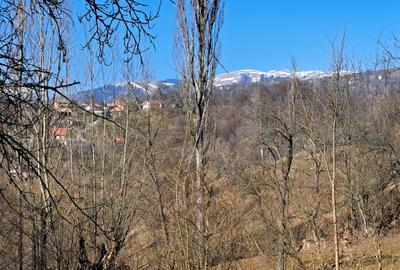 TEREN INTRAVILAN, 2142 mp, COMARNIC PRAHOVA, PODUL LUNG - 17