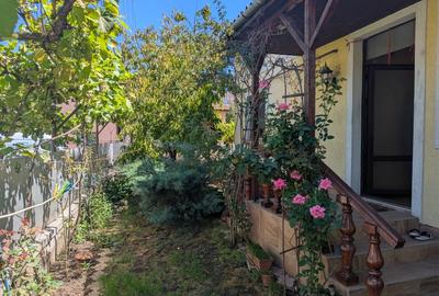Casă individuală cu 3 camere în Gojdu