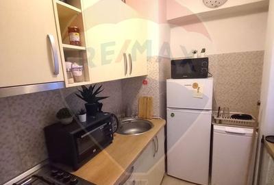 Apartament cu 1 camere de inchiriat in zona Ultracentral - 5