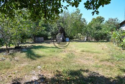 Casa de vanzare | 1.048 Mp teren | Romanesti - 28
