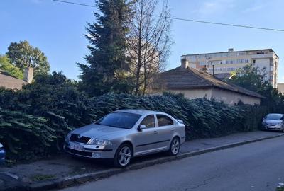 Zona Anda  Casa 3 camere , teren 431mp - 11