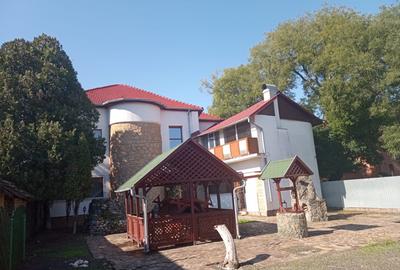 ViLA de LUX  cu un DESIGN deosebit in centrul orasului Nadlac - 2