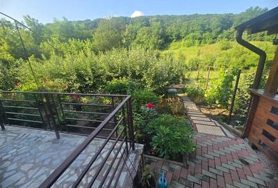 Casa in Luncani cu teren 5500 mp - 5
