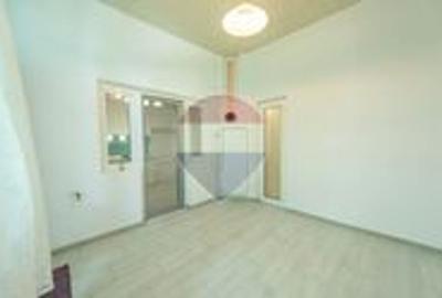Apartament de inchiriat, 137 mp, central, curte proprie - 26