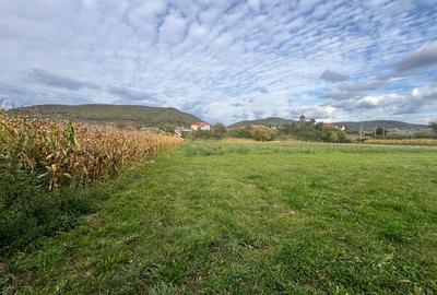TEREN INTRAVILAN DE VÂNZARE – 2.500 MP – LA 15 KM DE BISTRIȚA - 2