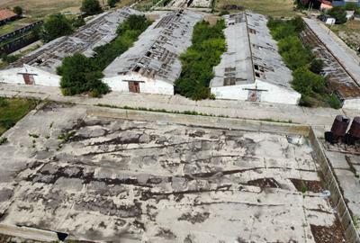 Spațiu industrial -fermă Orțișoara - 19