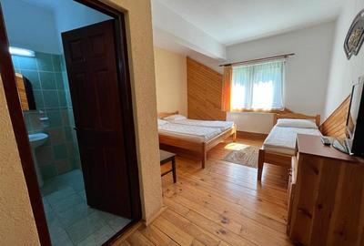 Casa de vacanta de vanzare in Lapusna - 6