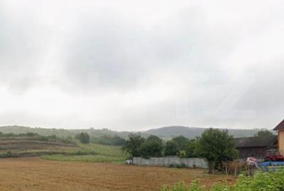 Teren Construcții intravilan de 6501 mp, în Șimnicu de Sus