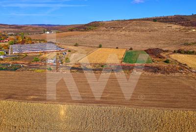 Teren intravilan 2.000 mp, PUZ aprobat  Strada Viile Sibiului Sibiu -DN14 - 18
