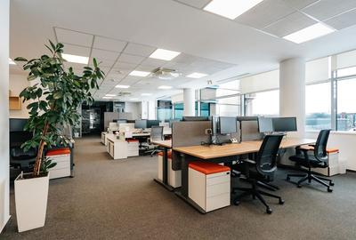 Maestro Business Center - 4