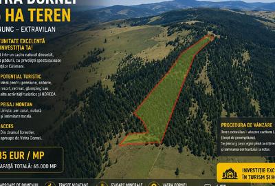 Teren agricol extravilan de 65000 mp, în Sud-Est