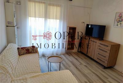 Apartament 2 camere, open space, de inchiriat, zona Podul de Fier -Moara de Vant - 8