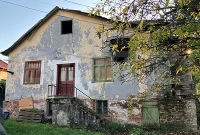 Casă individuală cu 2 camere în Buziaș