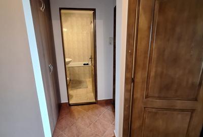 !! 3 Camere model mare.. zona Timocului-A. Saguna vedere spre Bega - 13