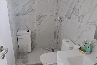 Vila renovata Dorobanti Capitale - 12