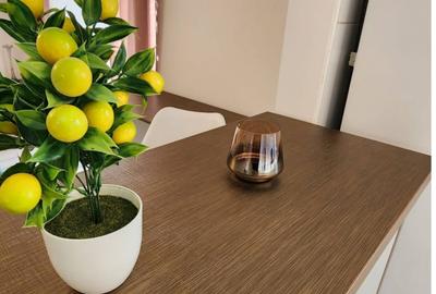Închiriere apartament Universitate metrou - 22