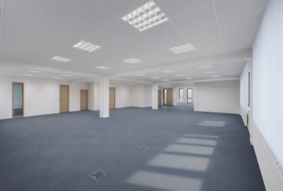 Spatiu comercial Calea Dumbravii - 1
