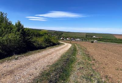 Parcele teren pentru cabane - sat Rusciori 567 mp - direct de la proprietar! - 5