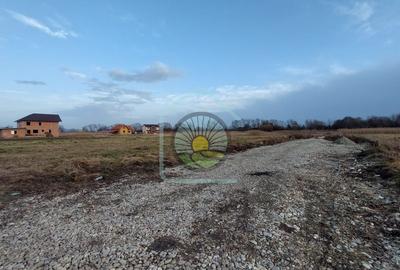 TEREN INTRAVILAN BRASOV-STUPINI STR. FAGURULUI - 6