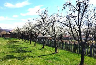 Casa noua cu potential turistic de vanzare in Com Crasna, Sat Radosi, Gorj - 10