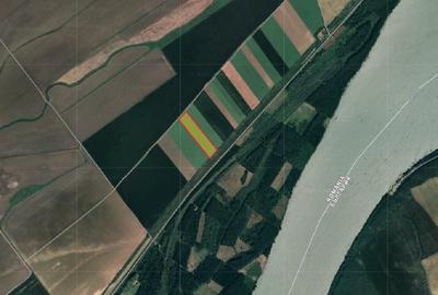 Teren agricol extravilan de 40000 mp, în Vedea