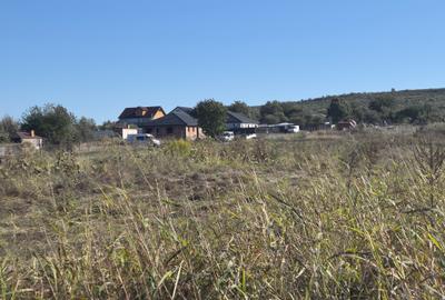 BUCIUM , STR. HOTARULUI , 850 mp intravilan , lac natural aproape, 18000 euro - 10