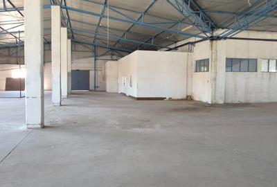 Spațiu Industrial și Logistic - 20