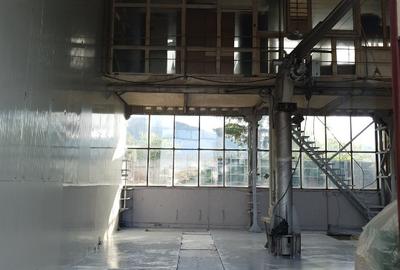 Hala industriala de inchiriat pe Calea Bucuresti folosinta multipla - 10