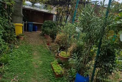 APARTAMENT 2 CAMERE CU GRĂDINĂ PROPRIE | IMOBIL BOUTIQUE | Sector 2 - 14