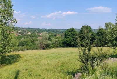 Oportunitate de Investiție | Teren cu Panoramă Montană | Vaideeni – Izvorul Rece - 5
