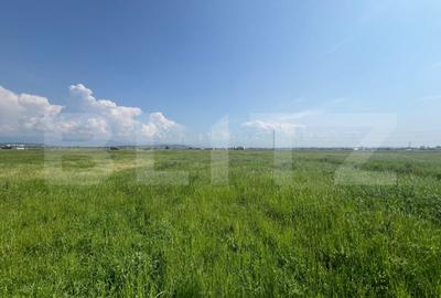 Teren Construcții extravilan de 10000 mp, în Vest