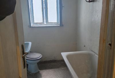 Vatra Luminoasa/Iancului vila de vanzare - 19