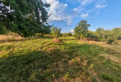Teren intravilan 1.600 mp Mioveni – Zona Pruni - 6