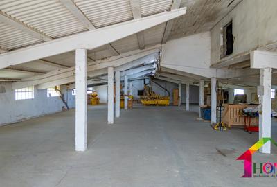 Teren 100.000 mp + Spatii Industriale Bacau - 12
