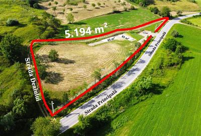 VIDEO | Teren 5.194 m² | 181 metri front la strada Principala (DJ 182C) | Servic - 2