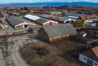 Ansamblu agrozootehnic cu renume,dotat +valoare exceptionala+potential versatil, - 32