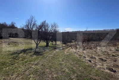 Teren agricol extravilan de 8567 mp, în Cetății