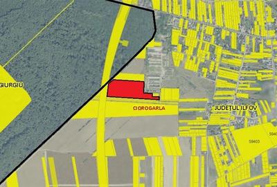 Teren Construcții intravilan de 37500 mp, în Ciorogârla