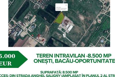 Teren Construcții intravilan de 8500 mp, în Est