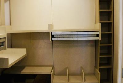 Duplex de lux 4 camere, terasa 80mp, 2 locuri parcare, Herastrau - 16