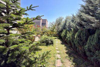 Vilă Sisesti Vatra Nouă, 10 camere - 18