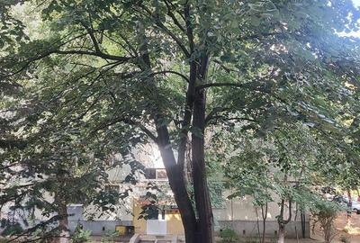 Apartament cu 3 camere semidecomandat în Giurgiului