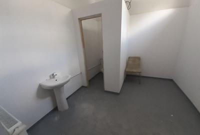 Zona bd. Th. Pallady - hala si birouri 550mp - 18