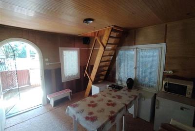 Casa de vacanta (Gheorgheni, zona km 4) - 4