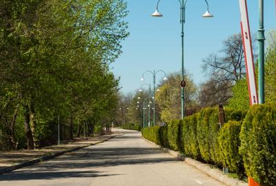 Vila visurilor tale există!Descoperă oaza de liniste în complexul Green City - 31