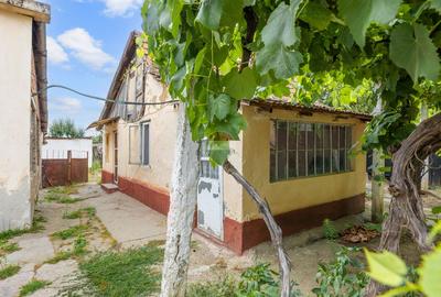 Casă de vânzare în zona Gai cu teren de 1.480 mp - 14
