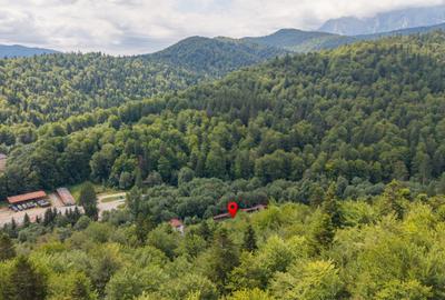 Teren intravilan în Predeal | 2.180 mp | infrastructură existentă - 10